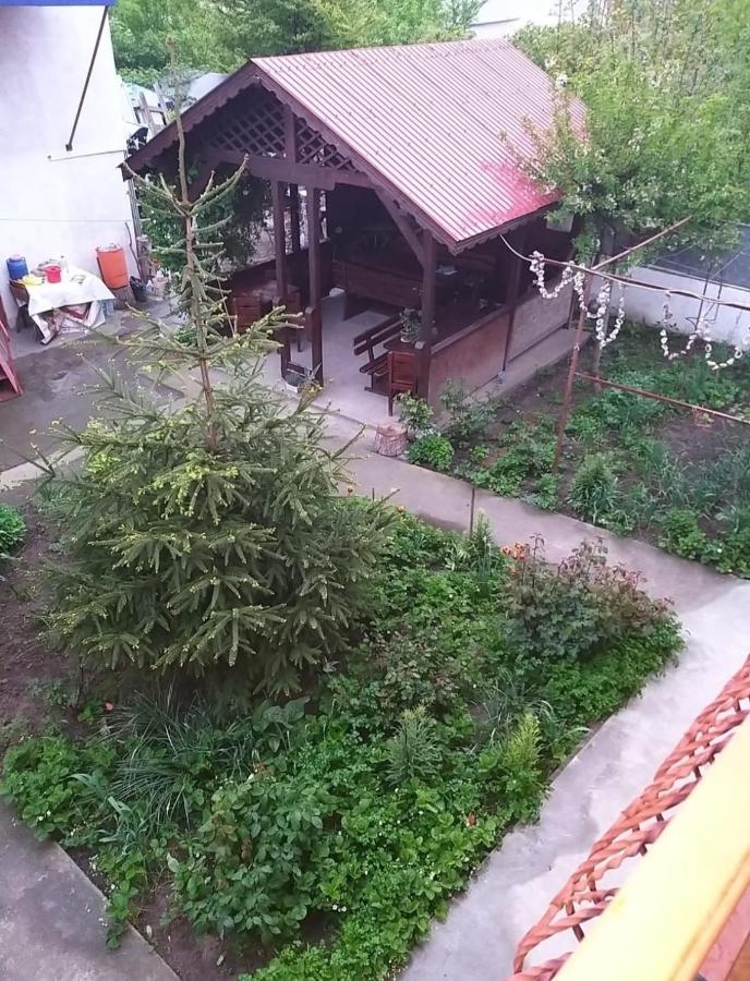Pensiune La Rodica Hotel Costinesti Bagian luar foto